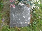 image of grave number 244859